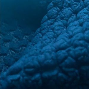 Meet your Posher, Chloe